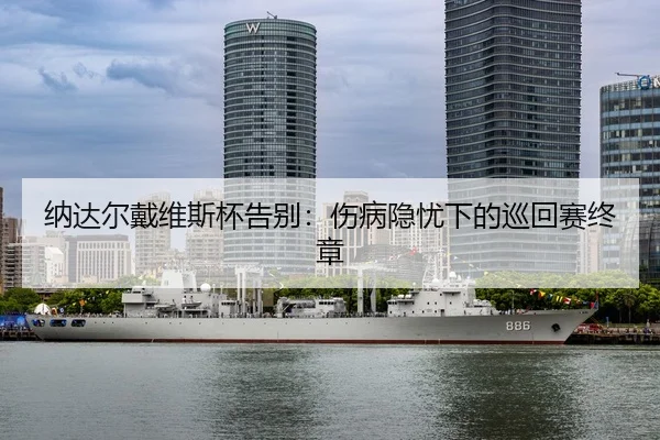 na-da-er-dai-wei-si-bei-gao-bie-shang-bing-yin-you-xia-de-xun-hui-sai-zhong-zhang-3-408.jpg