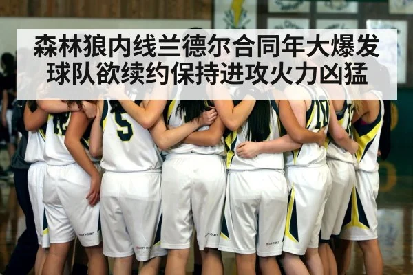 森林狼内线兰德尔合同年大爆发 球队欲续约保持进攻火力凶猛